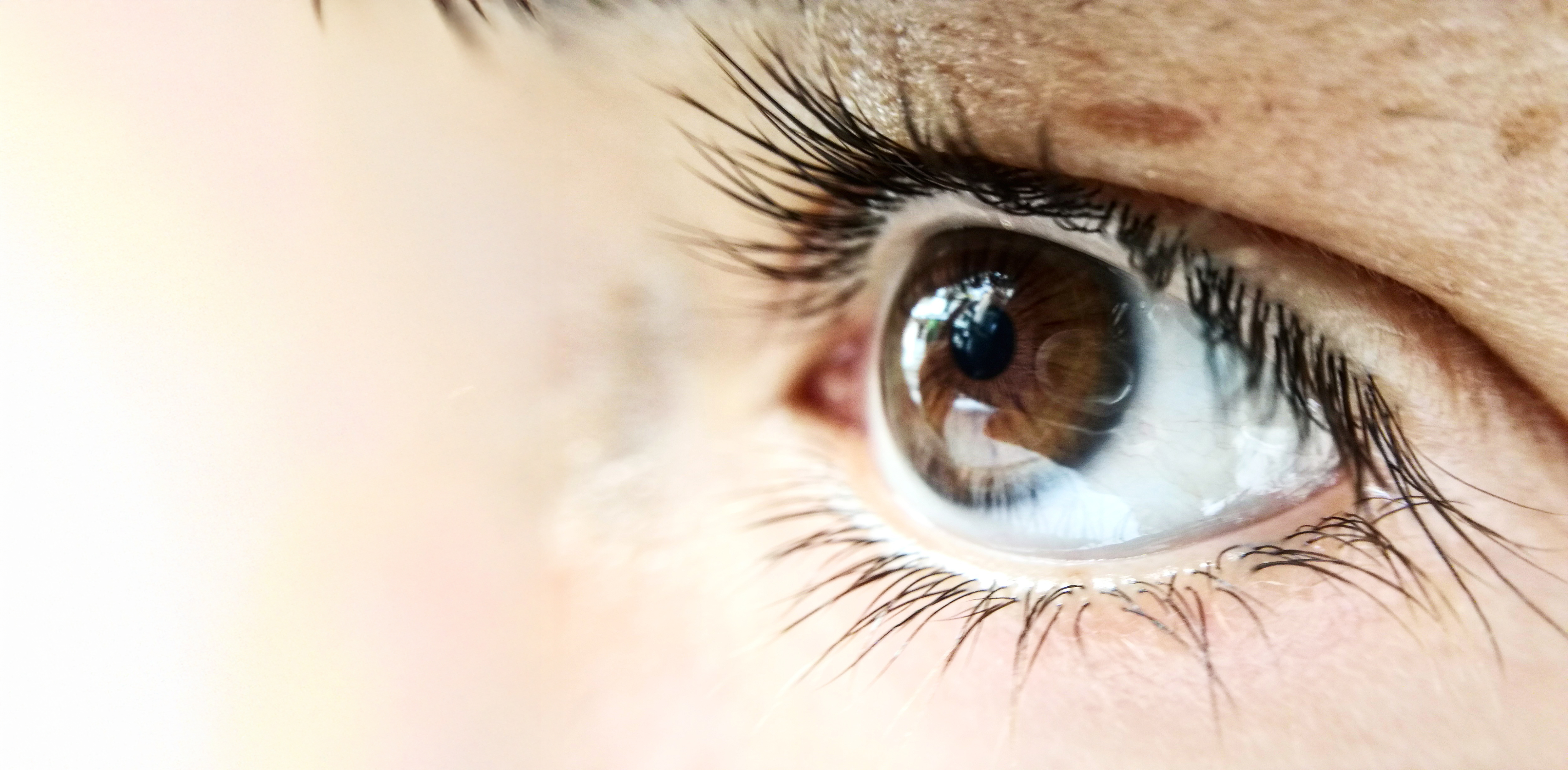 Macro photographie d'un œil en noir et blanc